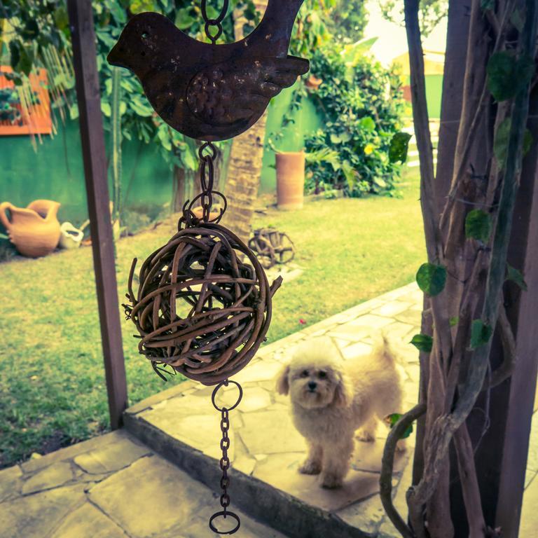La Tana Del Tano Guest House Búzios 外观 照片
